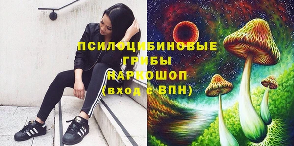 mdpv Няндома