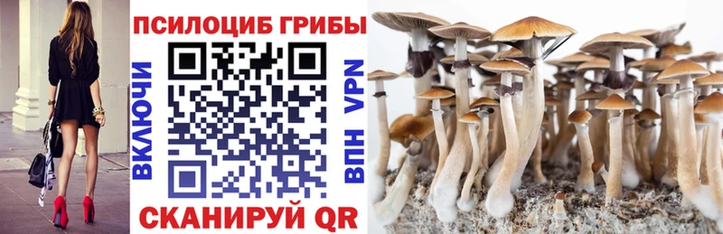 Псилоцибиновые грибы мицелий  Кяхта 